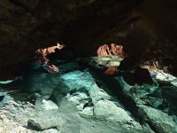 IMG_20240705_114427.jpg